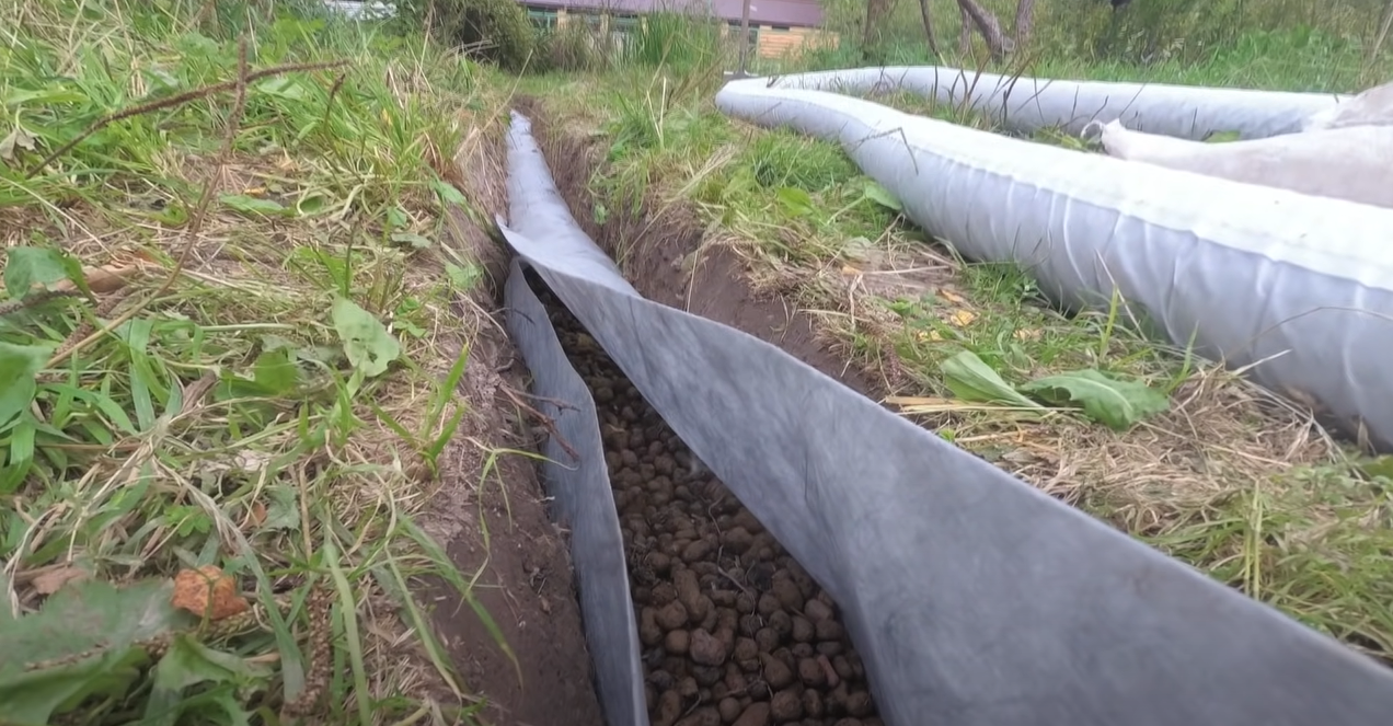 https://kostroma.blago-s.ru/storage/app/uploads/public/646/323/ab8/646323ab8db23463960040.png