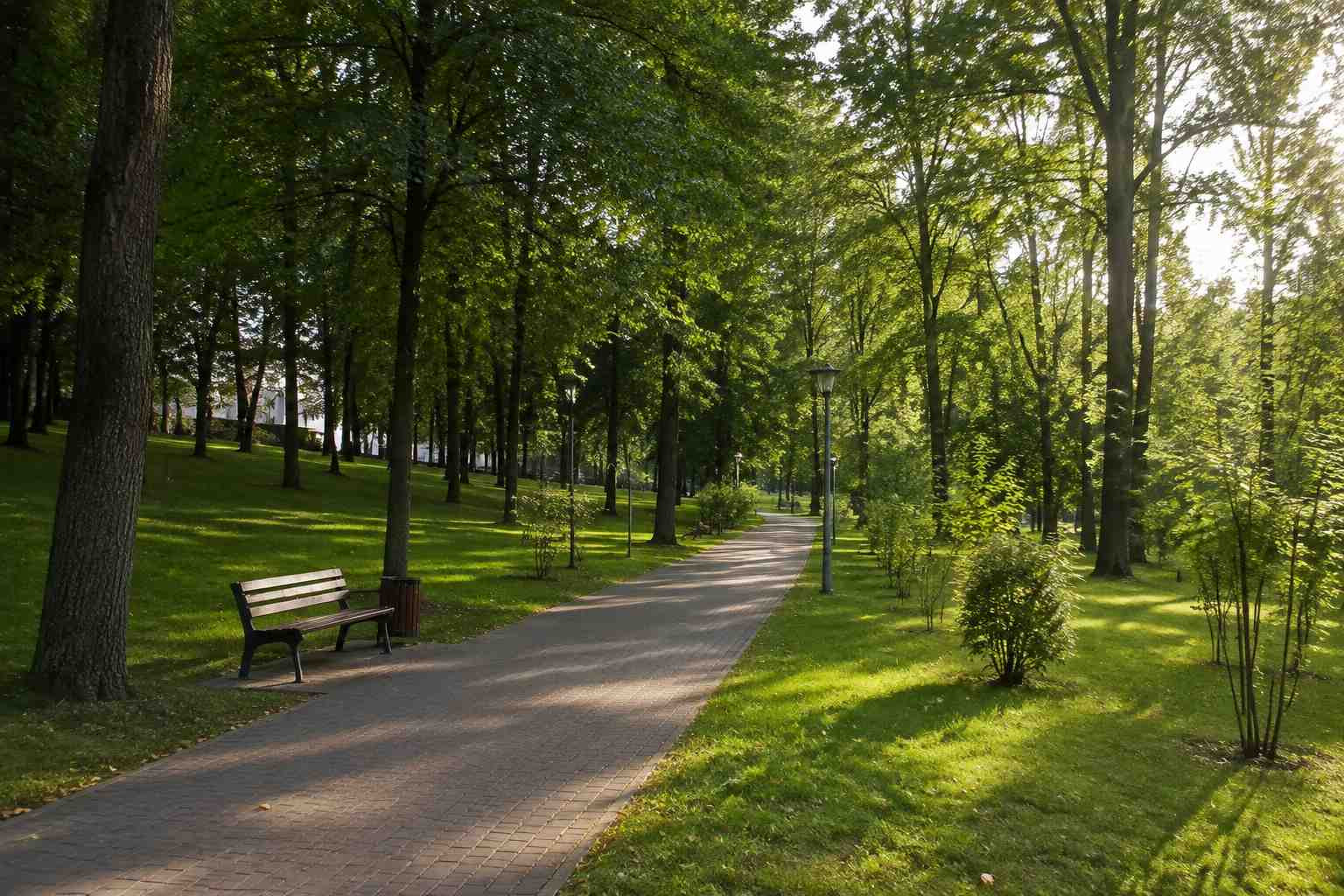 https://kostroma.blago-s.ru/storage/app/uploads/public/6a7/eef/ed2/6a7eefed2af22038960370.jpg